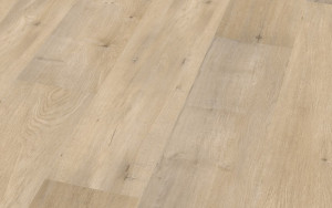 Birke Ravenna - Ziro Vinyl Basic Rigid | Klick Rigid Vinylboden Birke Ravenna - Ziro Vinyl Basic Rigid | Klick Rigid Vinylboden